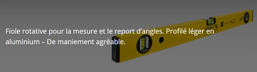 Niveau à bulle Type 81 S